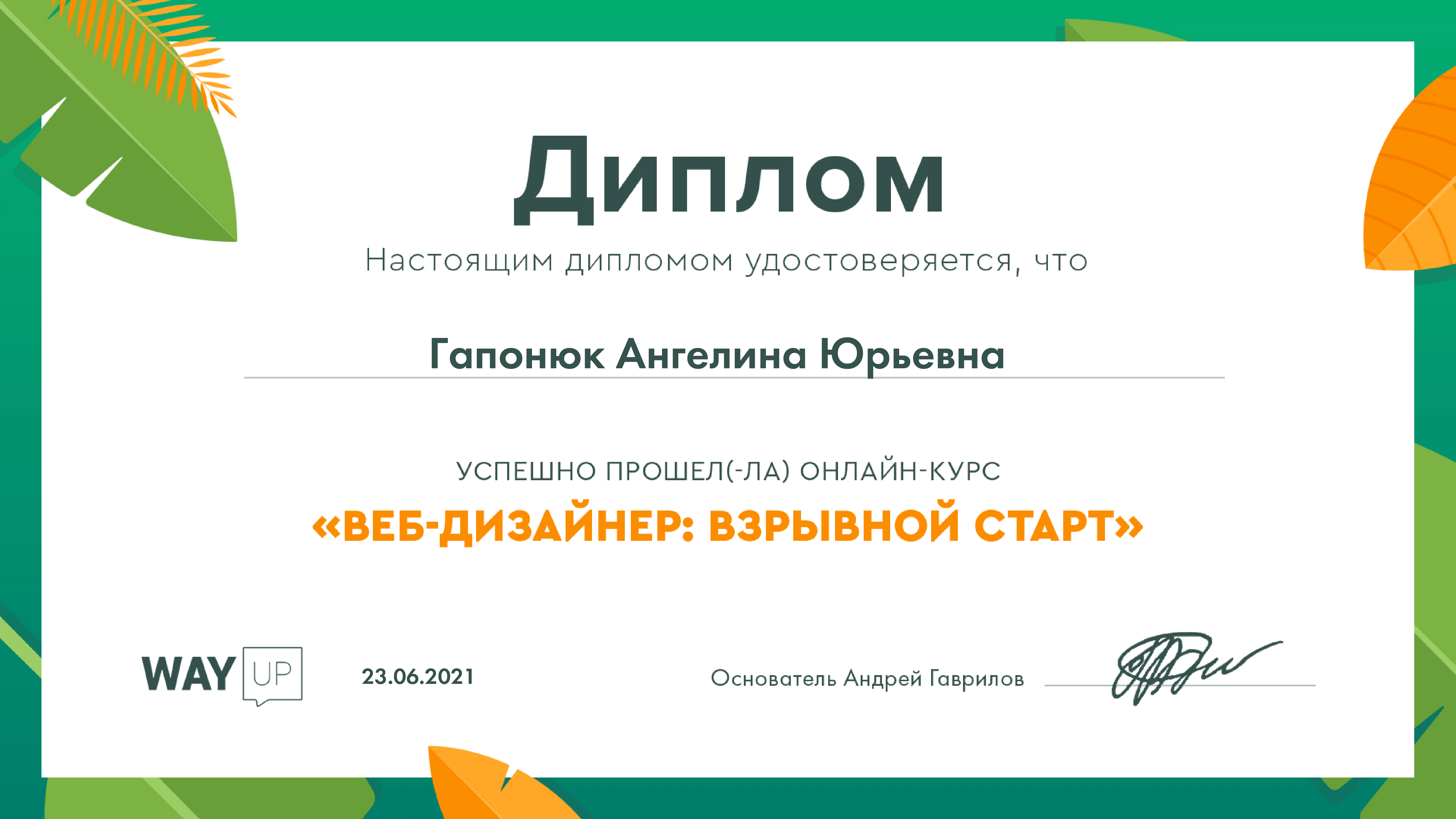 Диплом веб-дизайнера